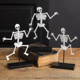 Set of Three Skeletons with Wooden Base