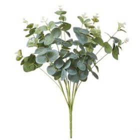 Eucalyptus Bush - Min of 6