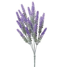 Lavender Bush - Min of 12
