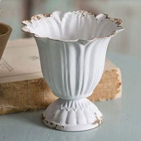 Small Scalloped Cup  -  Box of 4