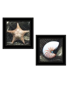 "Ocean Net Collection" 2-Piece Vignette By John Jones, Ready to Hang Framed Print, Black Frame