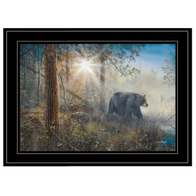 "Shadow in the Mist Collection" By Jim Hansen,, Ready to Hang Framed Print, Black Frame