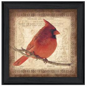 "Male Cardinal" by Artisan John Jones, Ready to Hang Framed Print, Black Frame