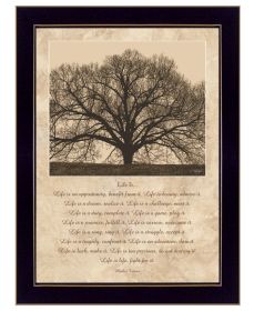 Trendy D��cor 4U Framed Wall Art, Modern Home Decor Framed Print for Living Room, Bedroom & Farmhouse Wall Decoration by John Jones