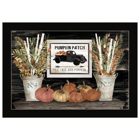 "Pumpkin Patch Still Life" By Cindy Jacobs, Ready to Hang Framed Print, Black Frame