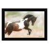 "A Wild Kookie" By Kari Brooks, Ready to Hang Framed Print, Horse Wall Art, Black Frame
