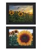 "Midwest Living Collection" 2-Piece Vignette By Donnie Quillen, Ready to Hang Framed Print, Black Frame
