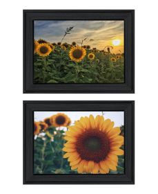 "Midwest Living Collection" 2-Piece Vignette By Donnie Quillen, Ready to Hang Framed Print, Black Frame (Color: Beige)