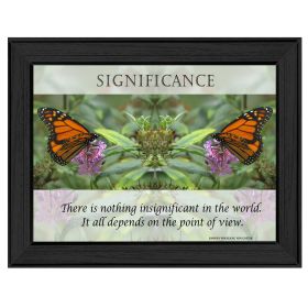 "Significance" By Trendy Decor4U, Printed Wall Art, Ready To Hang Framed Poster, Black Frame (Color: Beige)